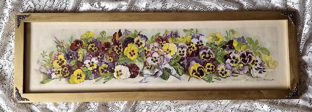 Allen A Study of Pansies yardlong all