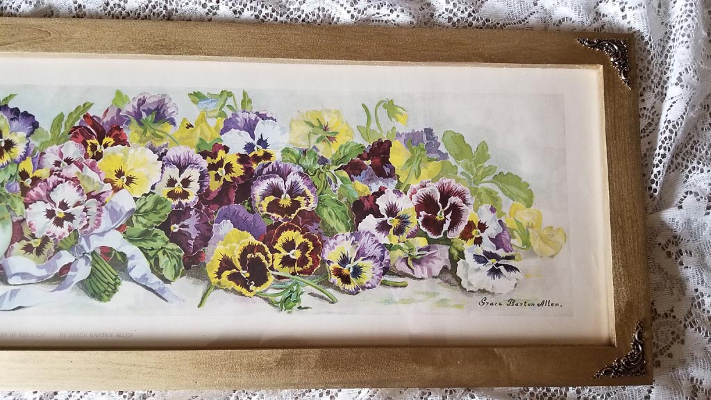 Allen A Study of Pansies yardlong right