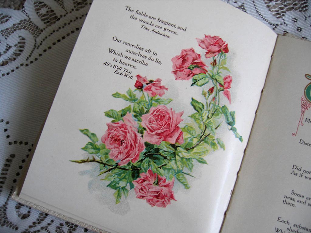 Roses from Shakespeare antique book 2