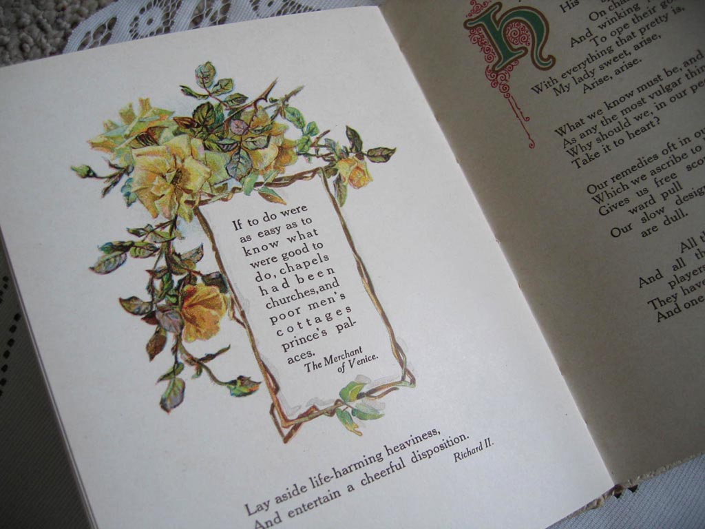Roses from Shakespeare antique book 5