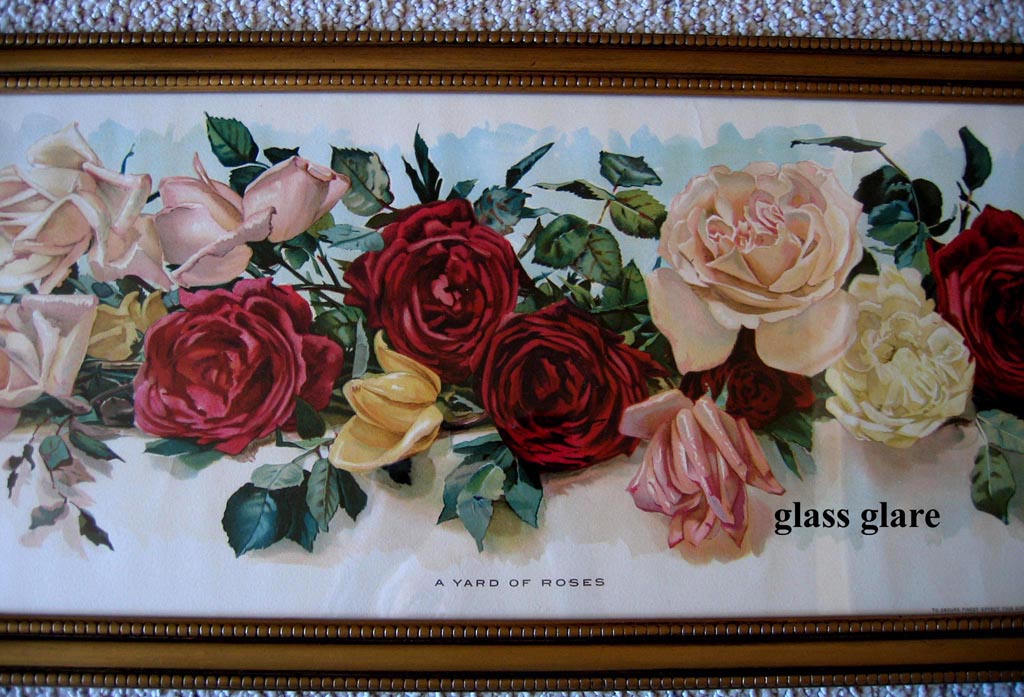 Newton Wells A yard of roses yard long print center