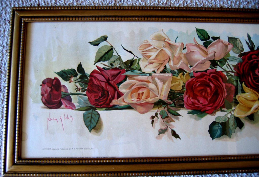 Newton Wells A yard of roses yard long print left