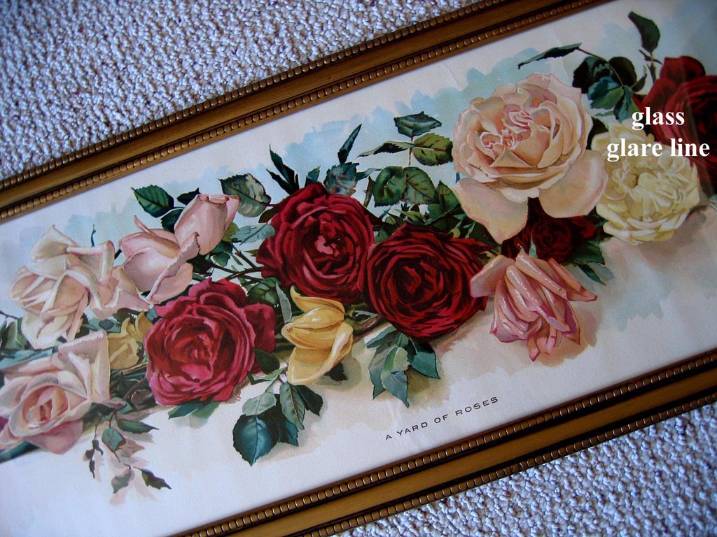 Newton Wells A yard of roses yard long print diagonal