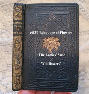 1850 The Ladies Vase of Wildflowers Language of Flowers antique book