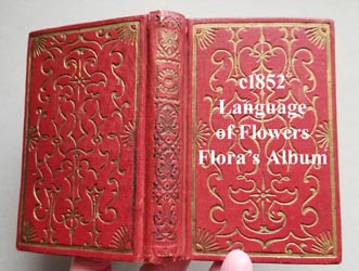 1852 Floras Album book