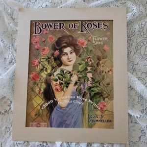 a bower of roses lady 1910 sheet music