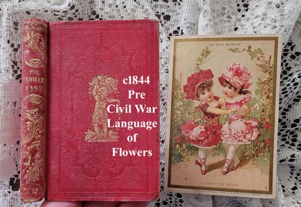 antique the flower vase language of flowers book