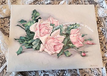 C Klein pink and white roses oil on canvas vintage painting