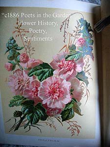 Poets in the garden antique book flower history poetry sentiments