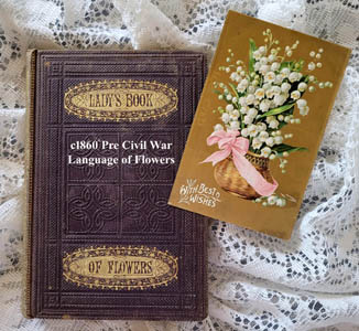 c1860 Lucy Hooper Language of Flowers Book