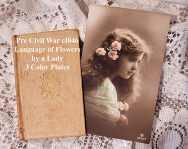 c1846 Language of Flowers antique book illustrated pre Civil War
