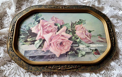 c klein pink vintage roses print antique convex bubble glass frame