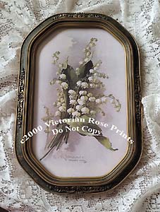 c Klein lily of the valley print antique convex frame
