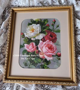 c klein vintage bouquet of roses print
