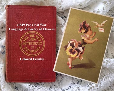 c1849 Language of Flowers book