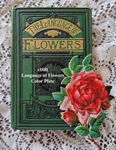 c1881 Language of Flowers Antique Book