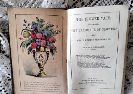 c1844 Language of Flowers antique book illustrated pre Civil War