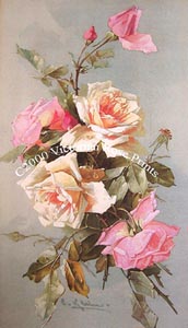 c klein old fashioned victorian roses print