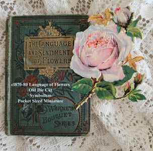 Antique Language and Sentiment of Flowers book