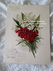 Paul de Longpre original chromolithograph lily of the valley and carnations print