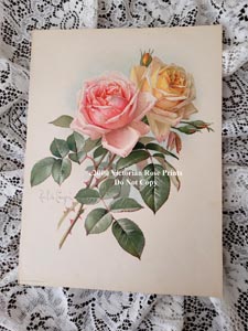 paul de longpre antique roses print american beauties chromo