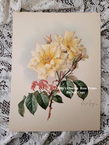 Paul de Longpre red roses print chromolithograph autographed