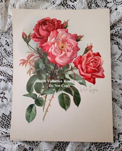Paul de Longpre pink yellow roses vintage print