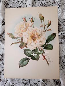 Paul de Longpre roses bumblebees print antique convex glass frame