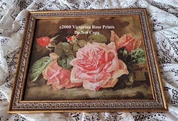 Paul de Longpre vintage pink roses print fancy gold frame 