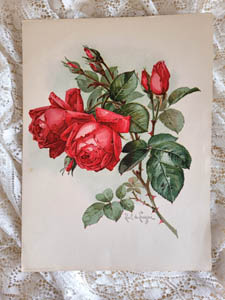 Paul de Longpre red roses print chromolithograph autographed