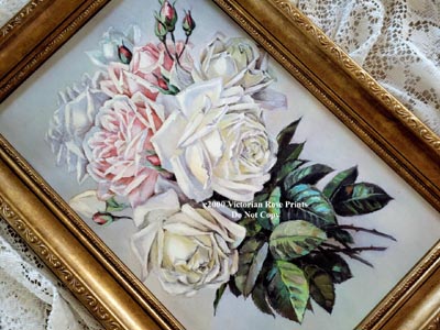 Paul de Longpre pink white roses vintage print #2