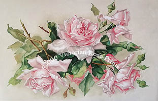 C Klein pink roses print