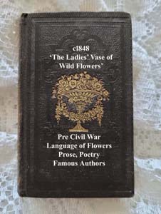 The Ladies Vase Antique Book