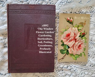 The Window Flower Garden book