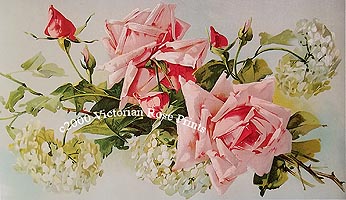 C Klein roses hydrangeas print