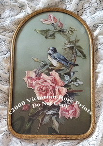Bluebird and roses vintage print antique convex glass frame